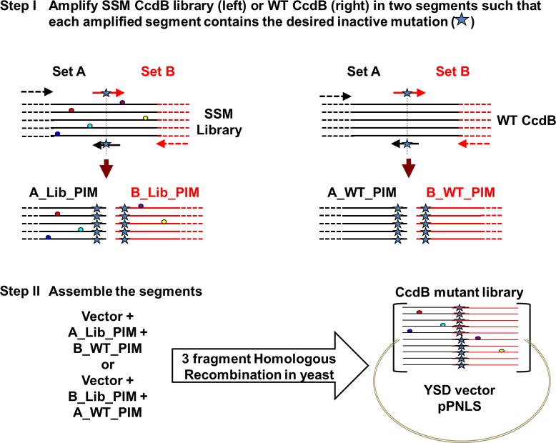 Figure 1—figure supplement 3.