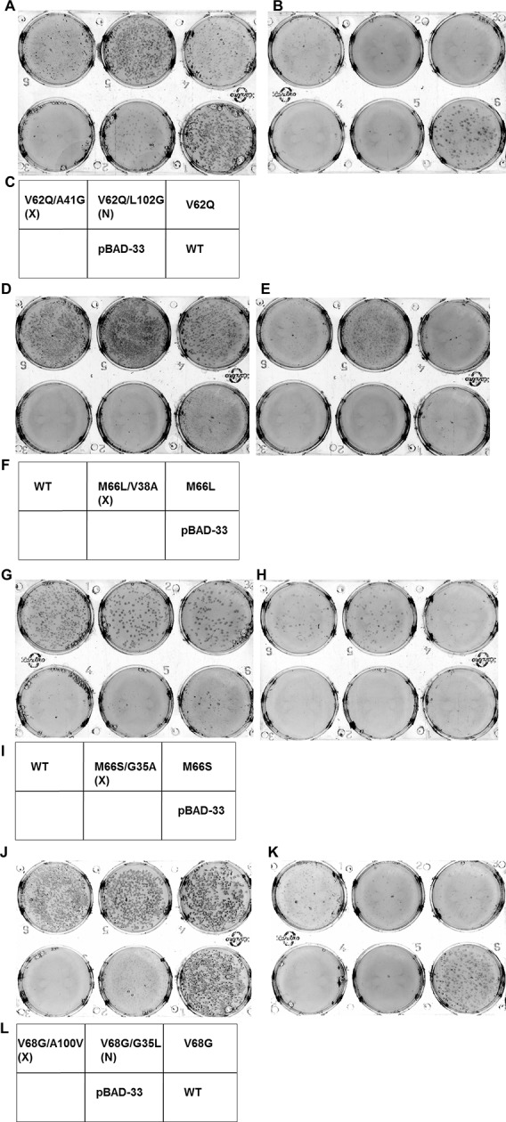 Figure 6—figure supplement 2.