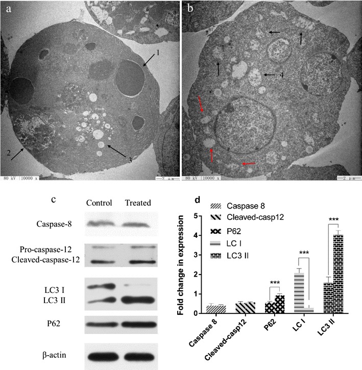 Fig. 9