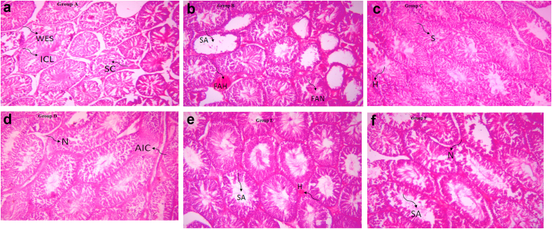 Figure 12