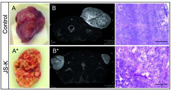 Fig. 8