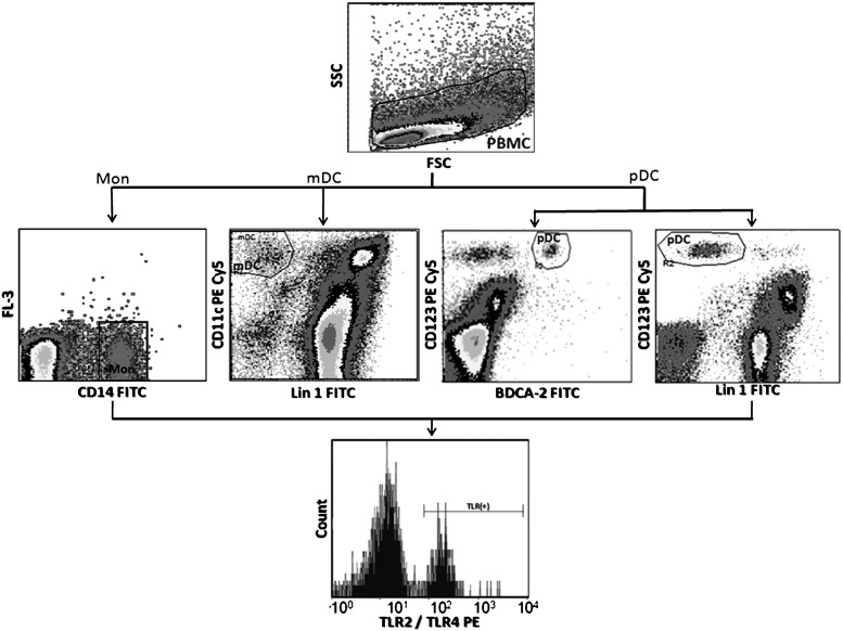 FIG. 1.