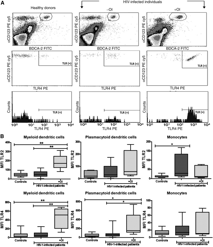 FIG. 2.