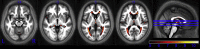 Fig. 9