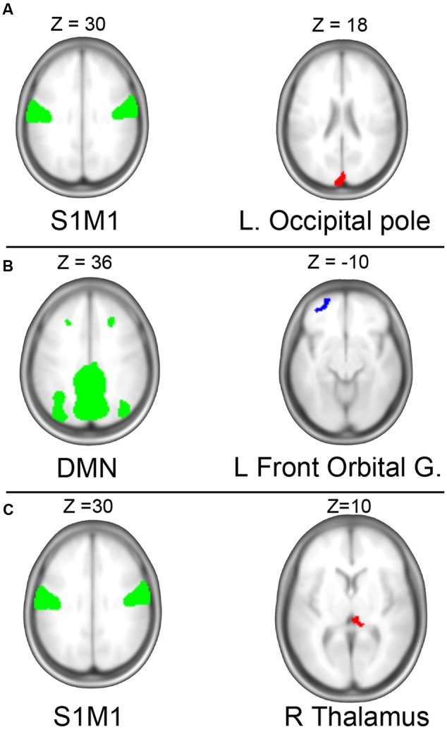 FIGURE 3