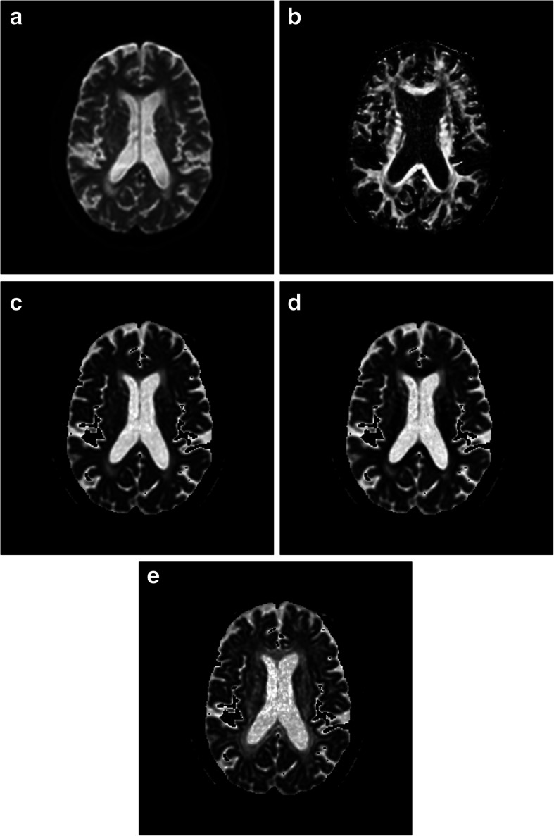 Fig. 8