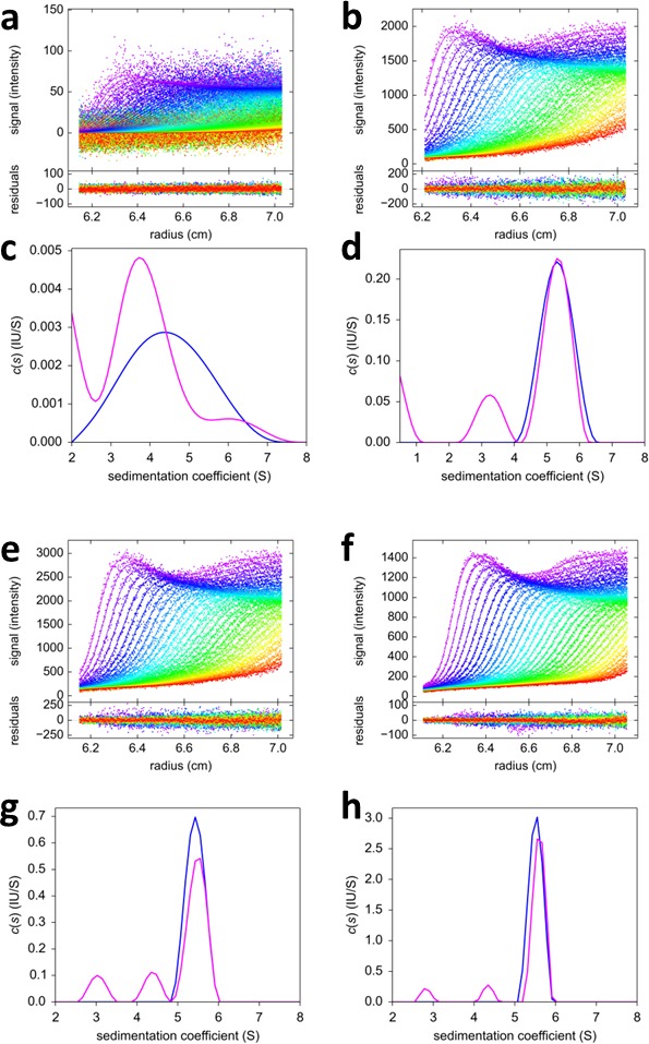 Figure 11.