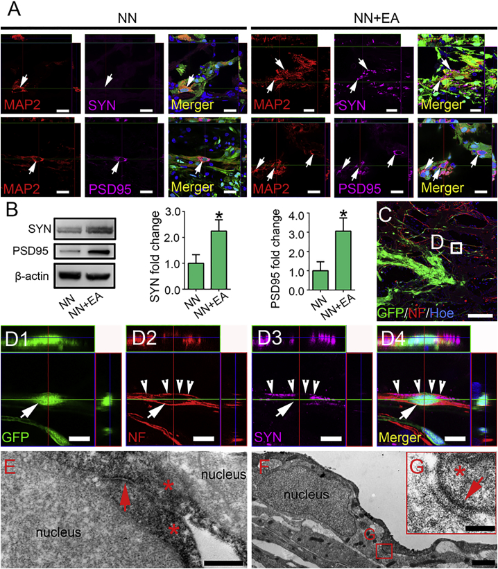 Figure 3