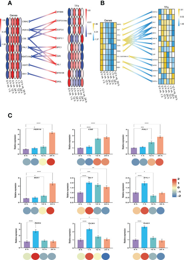 Figure 10