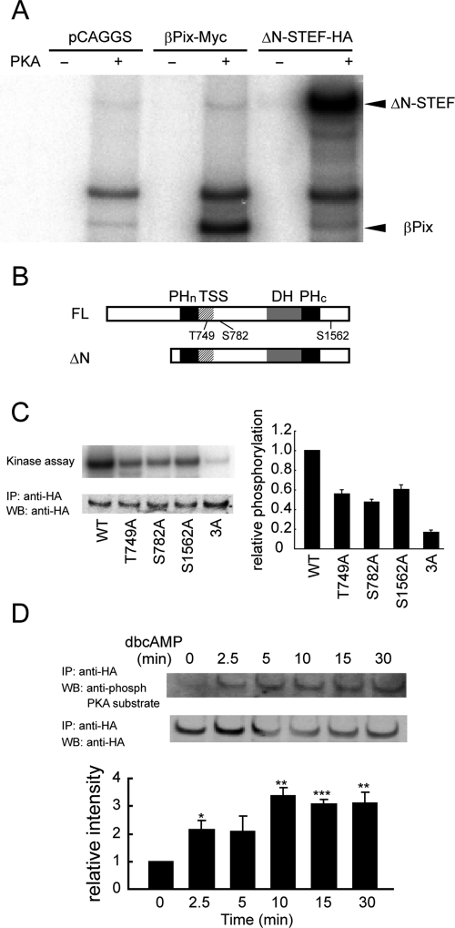 FIGURE 6: