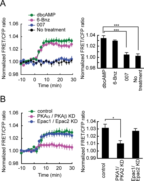 FIGURE 3: