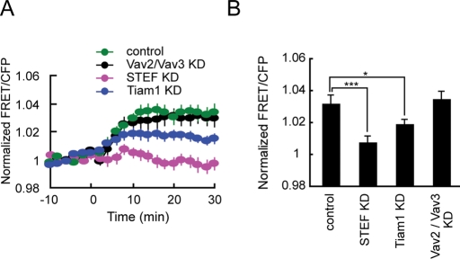 FIGURE 4: