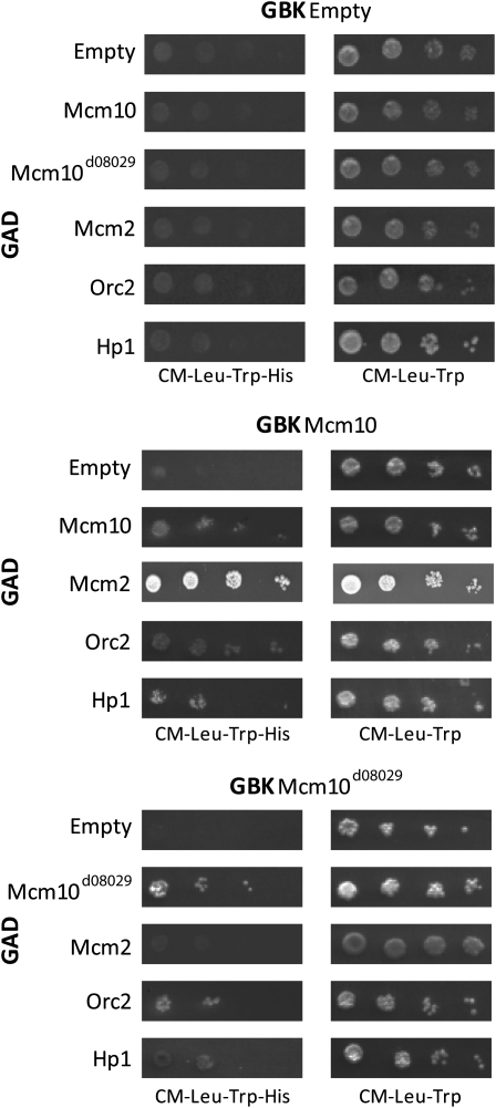 Figure 5.—