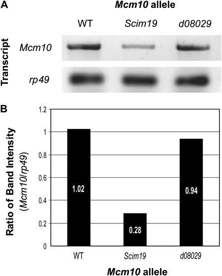 Figure 2.—