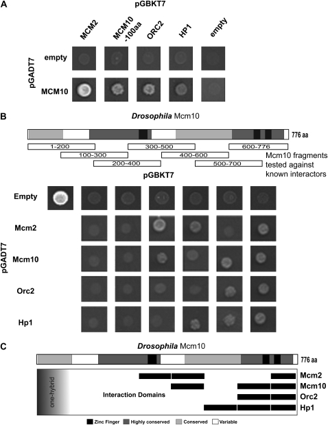 Figure 4.—