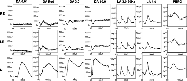 Fig. 3