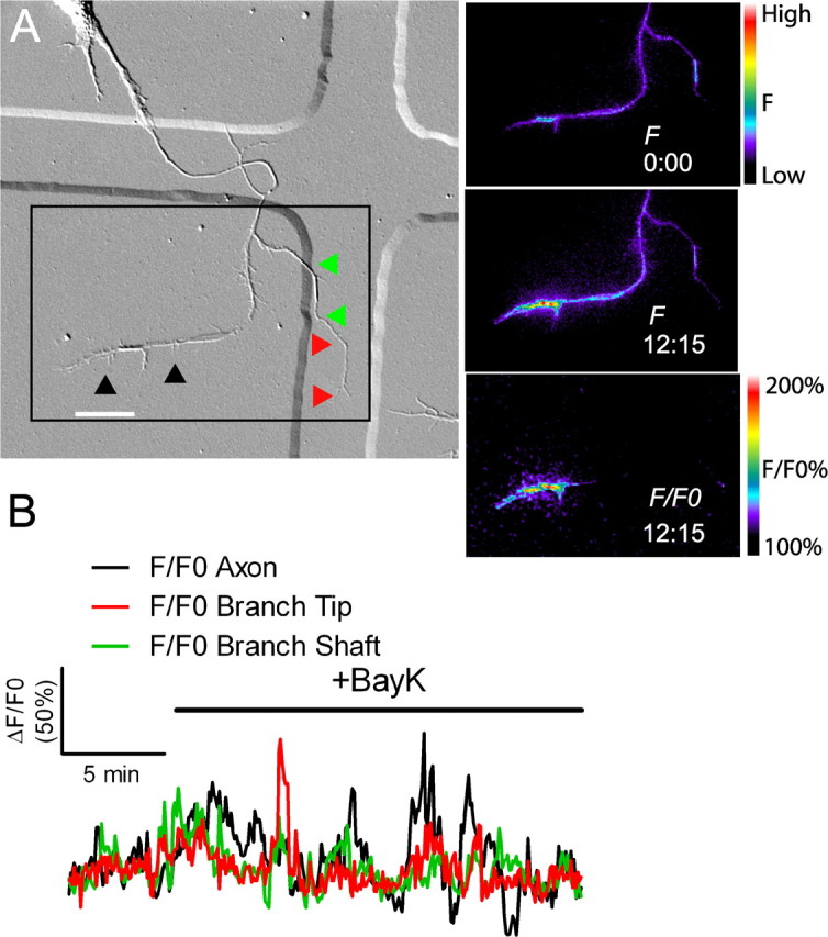 Figure 4.