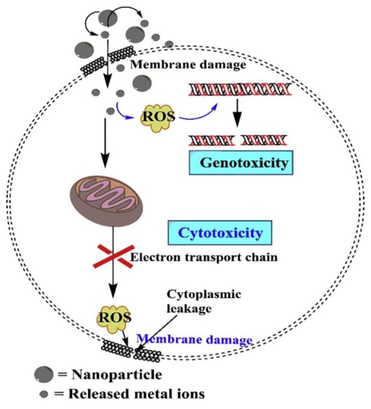 Figure 12