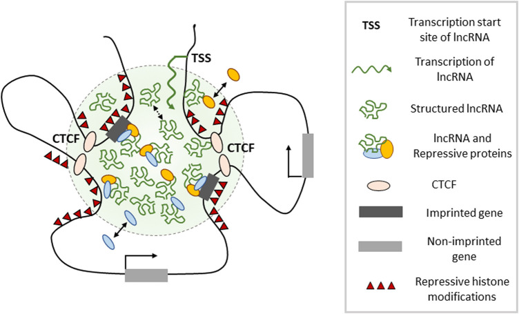 Figure 3.