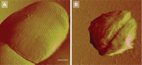 Fig. 6.