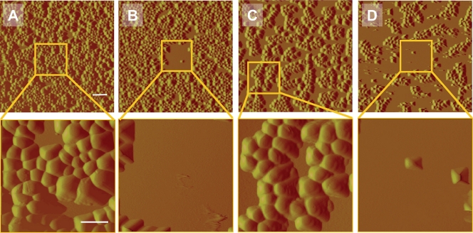 Fig. 4.