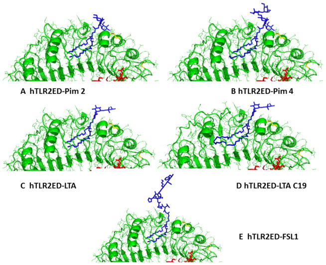 Figure 10