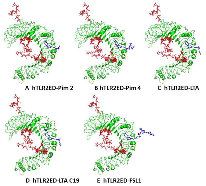 Figure 9