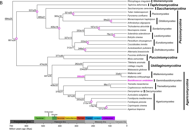 Fig. 3.