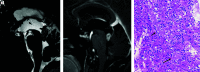FIG 4.