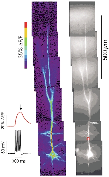 Figure 12