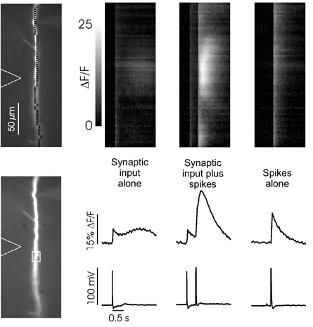 Figure 6