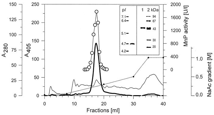 FIG. 5.