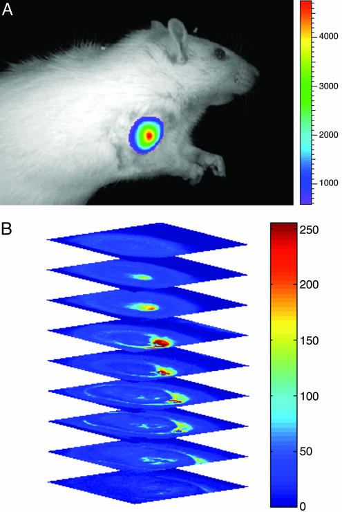 Fig. 4.