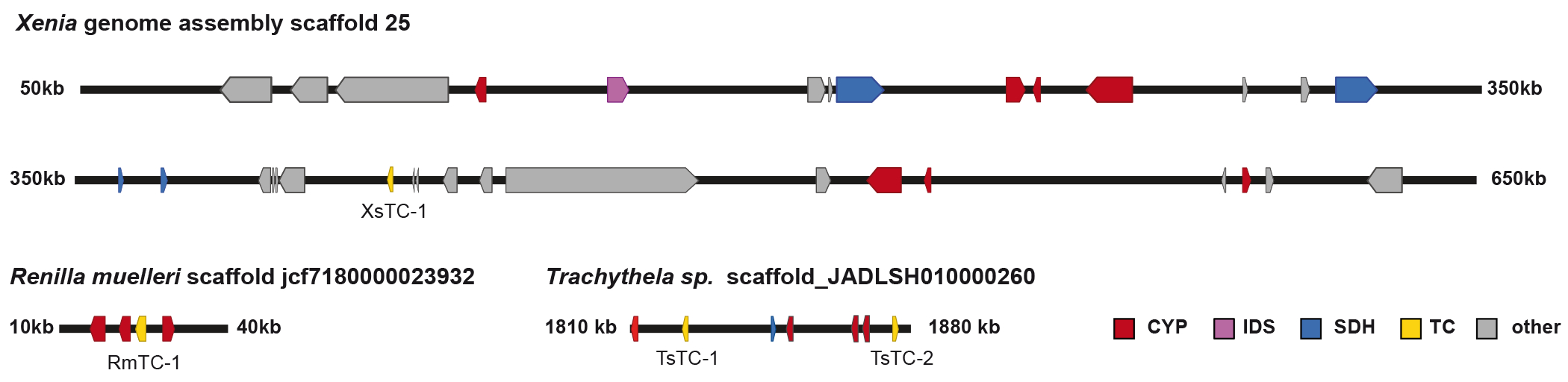 Extended Data Fig. 4.