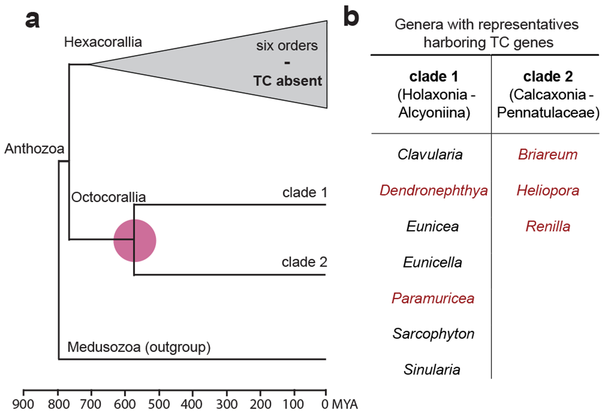 Fig. 4: