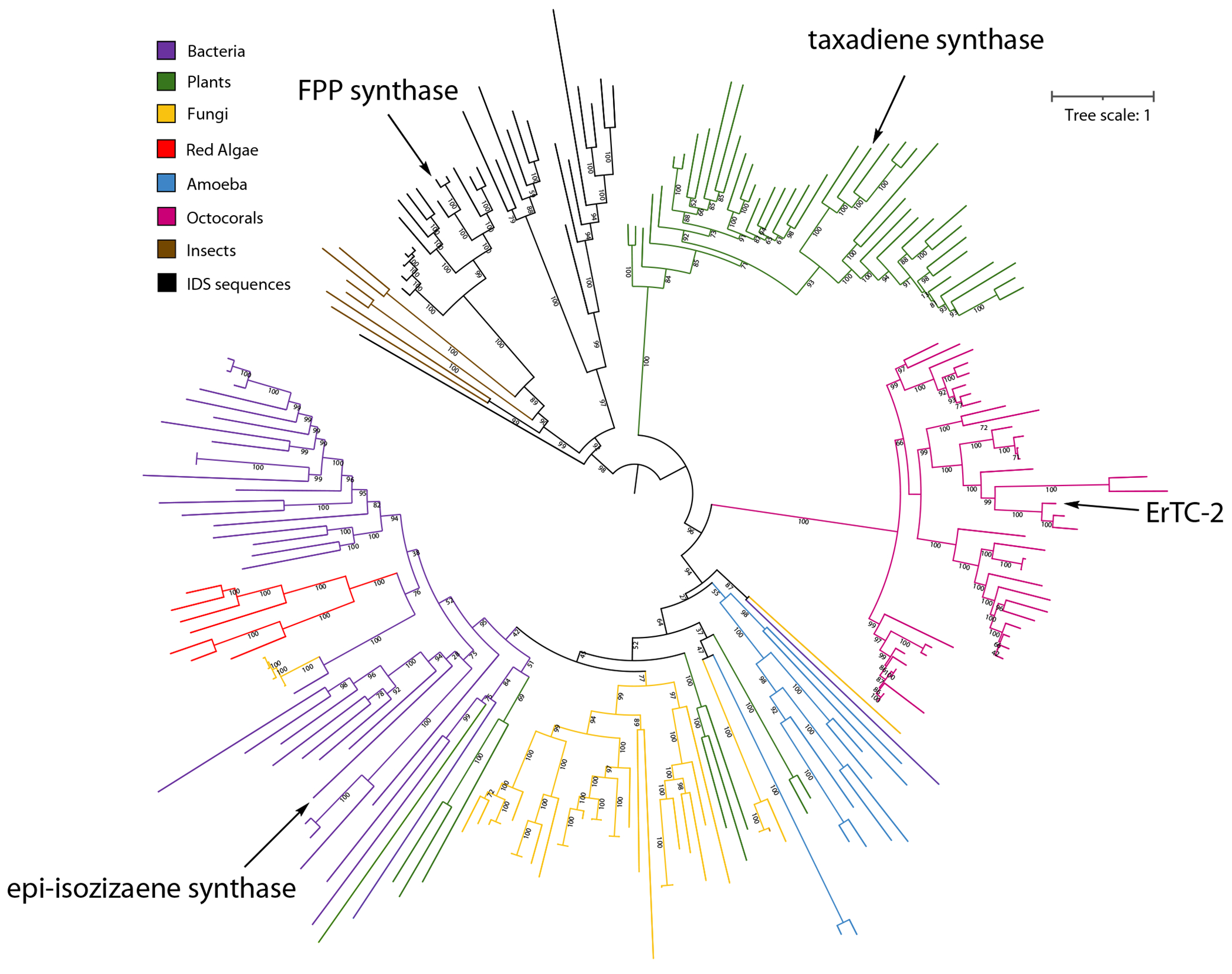 Extended Data Fig. 1.