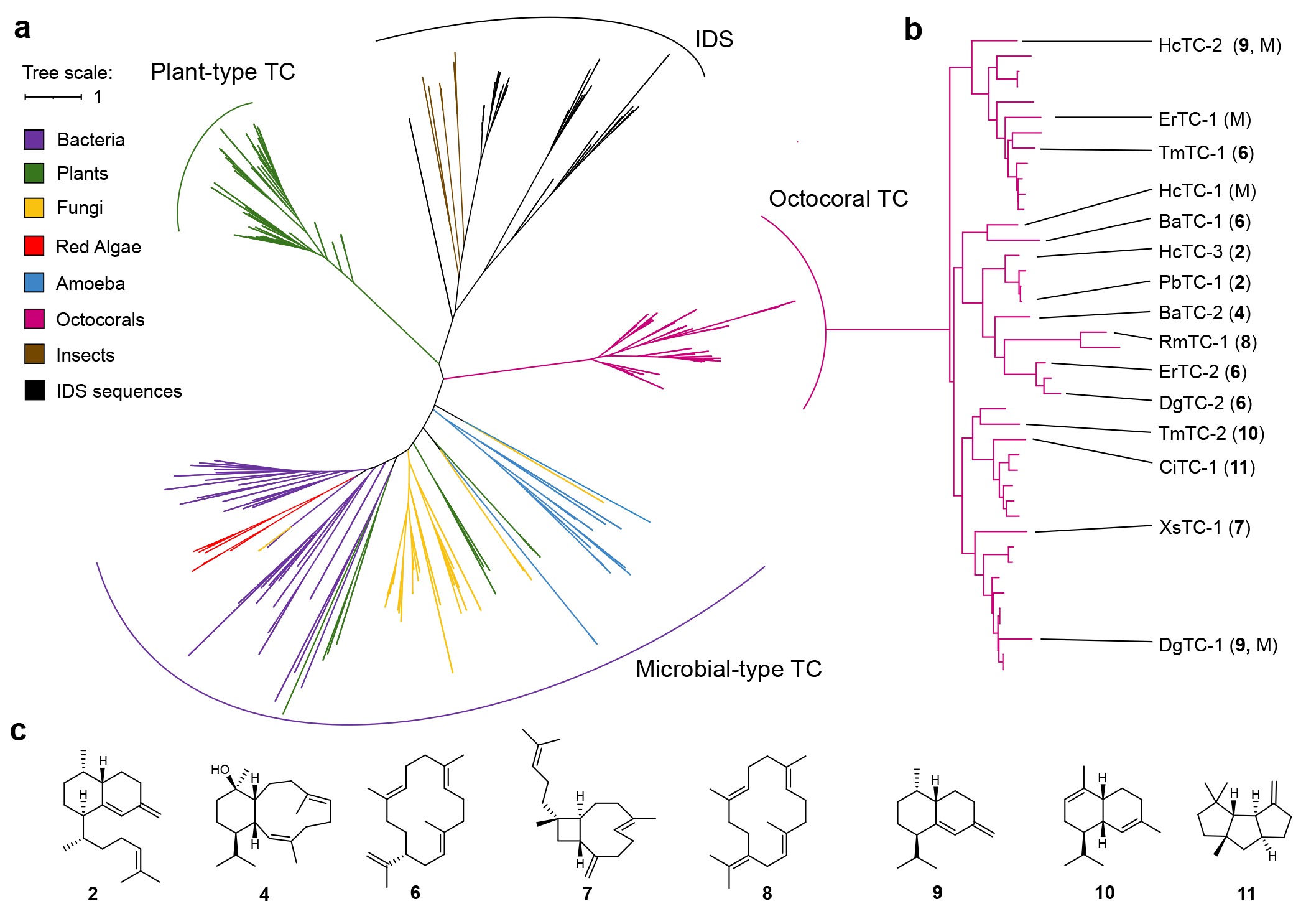 Fig. 2: