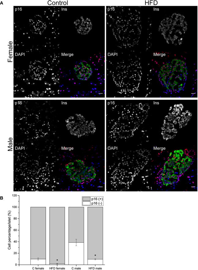 Figure 4