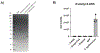Extended Figure 6.