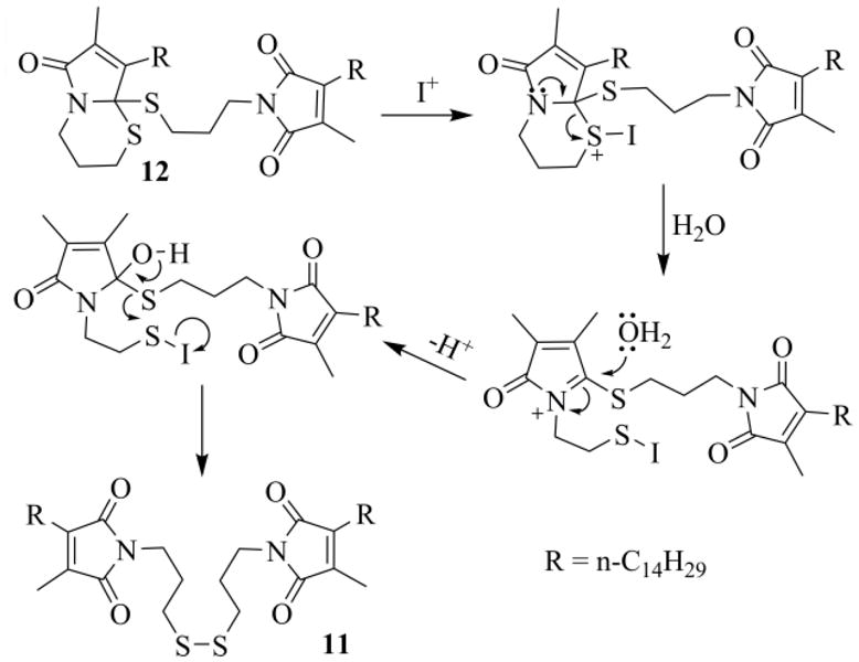 Scheme 8