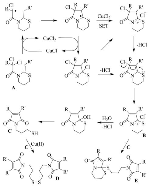 Scheme 4