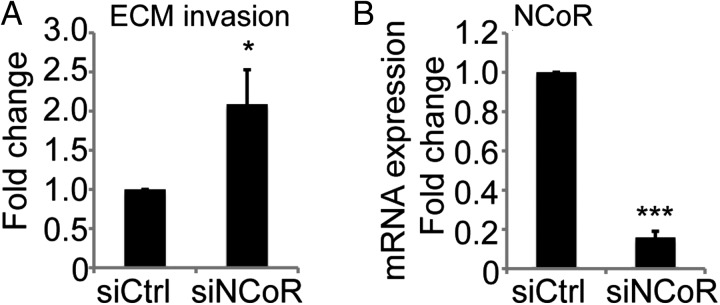 Fig. 4.