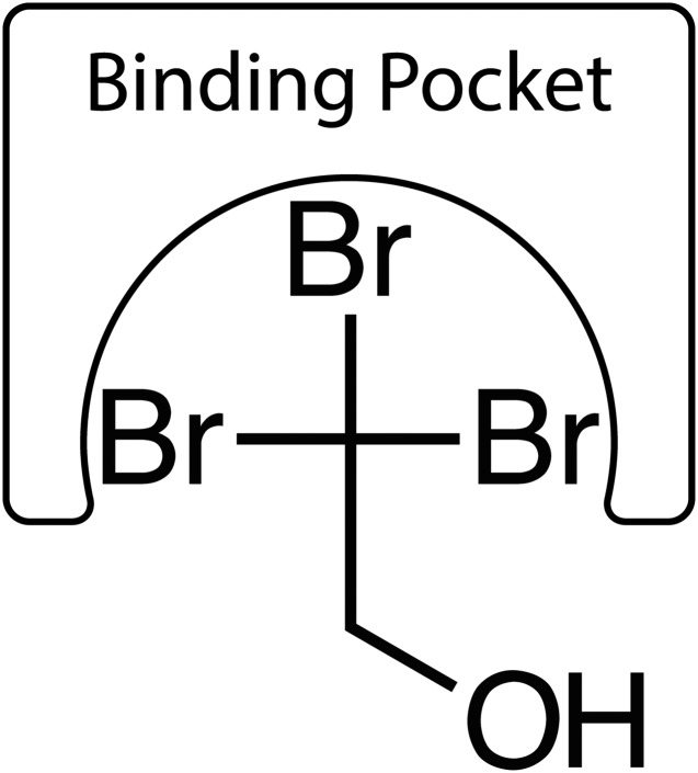 Fig. 10.