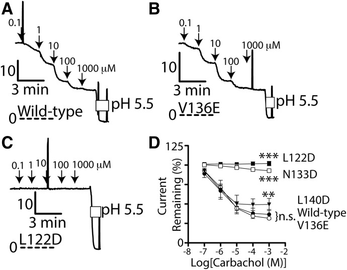 Fig. 8.