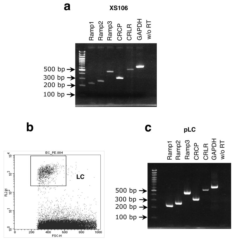 FIGURE 3