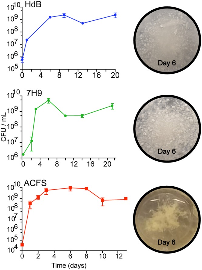 FIG 2