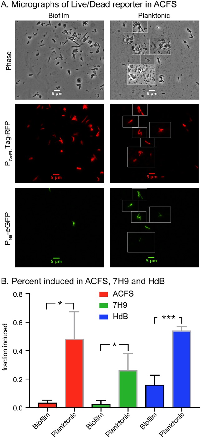 FIG 3