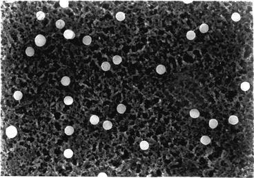 Fig. 4.32