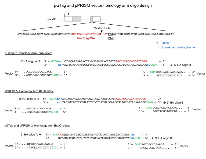 Figure 20.