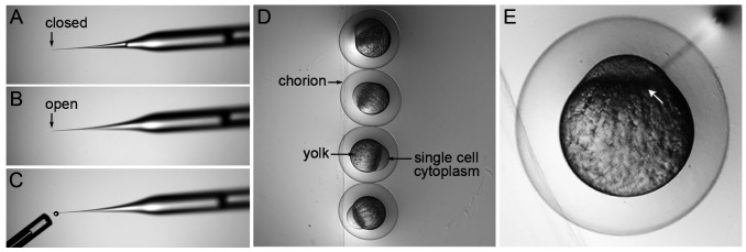 Figure 5.